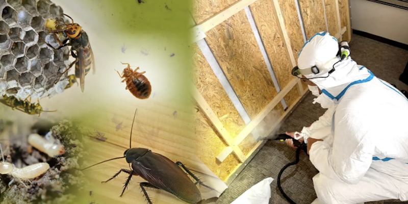 害虫駆除を手伝ってくれる害虫駆除会社を推薦します