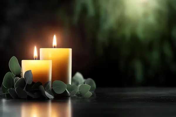 Understanding Modern Cremation Services: A Complete Overview
